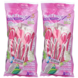satinex3 plus lady rasoi 2x6 st