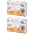 carfogil compresse 2x30 pz