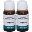 erva vita canfora olio essenziale 2x10 ml essenziale