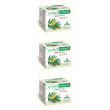 cotidierbe tisana 3x15 pz bustine filtro