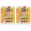 winter propoli gola fast bustine 2x150 ml polvere per soluzione orale