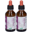 santiveri zefirus pro endocrin 2x100 ml gocce orali