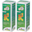 boiron® propolis spray 2x15 ml orale