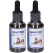 kaminox sciroppo 2x60 ml