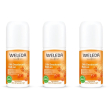 weleda 24h deo roll-on olivello spinoso 3x50 ml