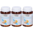 arkopharma arkocapsule curcuma + piperina capsule 3x19 g