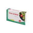 kos uva ursina compresse 4x60 pz