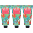 euphidra crema mani petali di rosa 3x50 ml