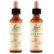 schwabe pharma rock rose bach orig 2x20 ml gocce orali