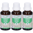herbalgem ginko biloba giovani foglie concentrato di gemme fresche goc