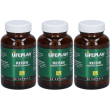 lifeplan® reishi 3x1 pz capsule