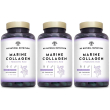 n2 natural nutrition marine collagen 60 capsule 3x42 g