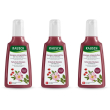 rausch shampoo colorprotettivo alla rosa selvatica 3x200 ml