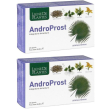 androprost 60 capsule 2x60 pz