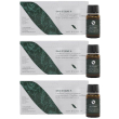 ds1 tersus 10 flaconcini da ml 3x100 ml soluzione orale