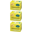 viropa zenzero e limone tisana bio 3x15 pz bustine filtro