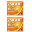 sustenium plus bustine gusto arancia 2x160 g