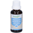 herbalgem prestagem comfort maschile concentrato di gemme fresche gocc