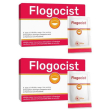 flogocist bustine 2x10 pc polvere per soluzione orale