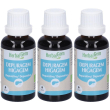 herbalgem depuragem depurativo concentrato di gemme fresche gocce 3x30