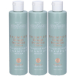 maternatura shampoo lavaggi frequenti al tè bianco 3x250 ml
