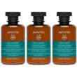 apivita oily hair shampoo sebo-regolatore 3x250 ml