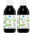 ergy desmodium 2x250 ml sciroppo