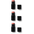 dr. hauschka lip to cheek 01 apricot 3x6,1 g