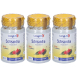 longlife schisandra capsule 3x36 g