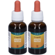 propoli evsp estratto idro no alcool 30 ml 2x30 ml soluzione orale