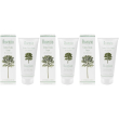 assenzio crema fluida corpo 200 ml 3x200 ml