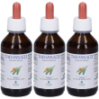 promopharma tarassaco soluzione idroalcolica gocce 3x100 ml