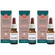 tea tree oil olio essenziale 3x10 ml essenziale
