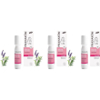 pranarôm - pranabb roller gel lenitivo bio- sollievo rapido per puntur