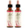 larch bach orig 20ml 2x20 ml gocce orali