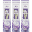 l`erbolario carezza profumata iris 3x150 ml lozione per il corpo
