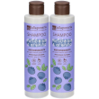 shampoo bio antiossidante 2x200 ml