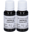fee gastro 15 ml 2x15 ml soluzione orale