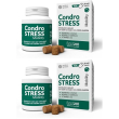 innovet condrostress mobility soft chews per cani 2x1 st