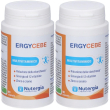ergycebe 90 capsule 2x43 g