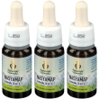 maharishi ayurveda nasyamap 3x10 ml soluzione