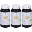 ganoderma gheos capsule 3x90 pz