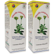 pilosella compositum gocce 100 ml 2x100 ml orali