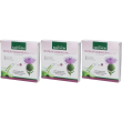 silybum marianum l esp 10 fiale da ml 3x10x10 ml soluzione orale