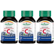 jamieson vitamina c 1000 mirtillo 120 compresse masticabili 3x120 pz