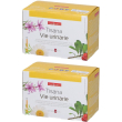 naturplus tisana vie urinarie 2x30 g