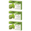 ginkgo biloba 60 capsule 3x60 pz