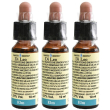 fiori di bach 11 elm leo 3x10 ml soluzione orale