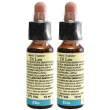 fiori di bach 11 elm leo 10 ml soluzione orale