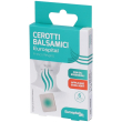 eurospital cerotti balsamici fresco respiro 4x6 st